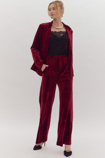 Velvet Wide Leg Pants